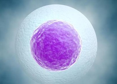 黄南有没有做第三代试管婴儿的医院？