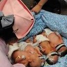 红房子试管婴儿费用？试管红房子好还是一妇婴好？