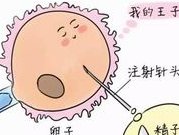 冻胚移植方案哪一种安全效果好