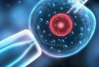 死精率80%的男性可以在昆玉市做三代试管吗？公开2026做三代试管条件